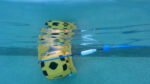 Dolphin Wave 100 Pool Cleaner - Image 6