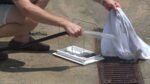 Dolphin Wave 100 Pool Cleaner - Image 4