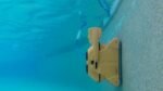 Dolphin Wave 100 Pool Cleaner - Image 3