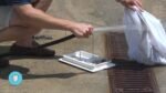 Dolphin W20 Pool Cleaner - Image 5